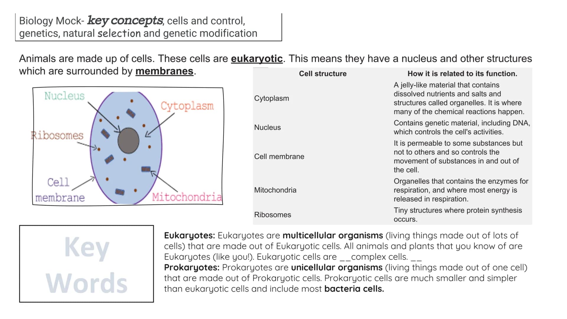 Biology Mock- key concepts, cells and control,
genetics, natural selection and genetic modification
Animals are made up of cells. These cell