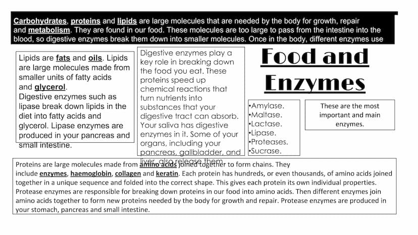 Biology Mock- key concepts, cells and control,
genetics, natural selection and genetic modification
Animals are made up of cells. These cell