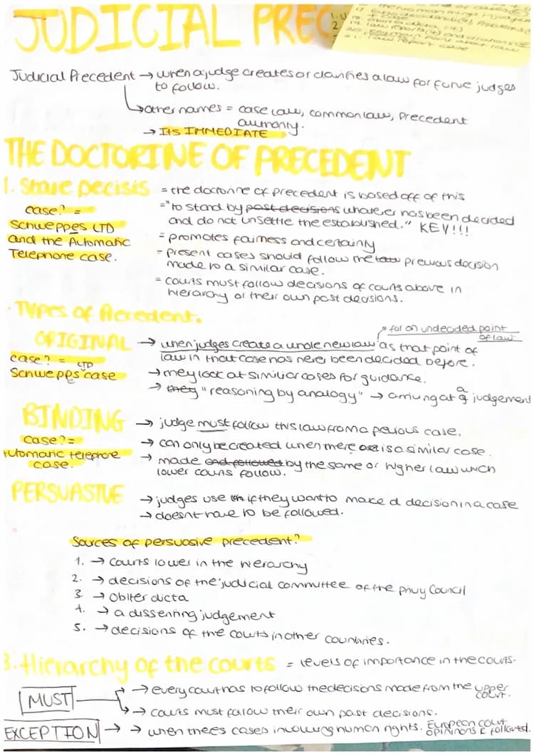 Judicial precedent cases outlet