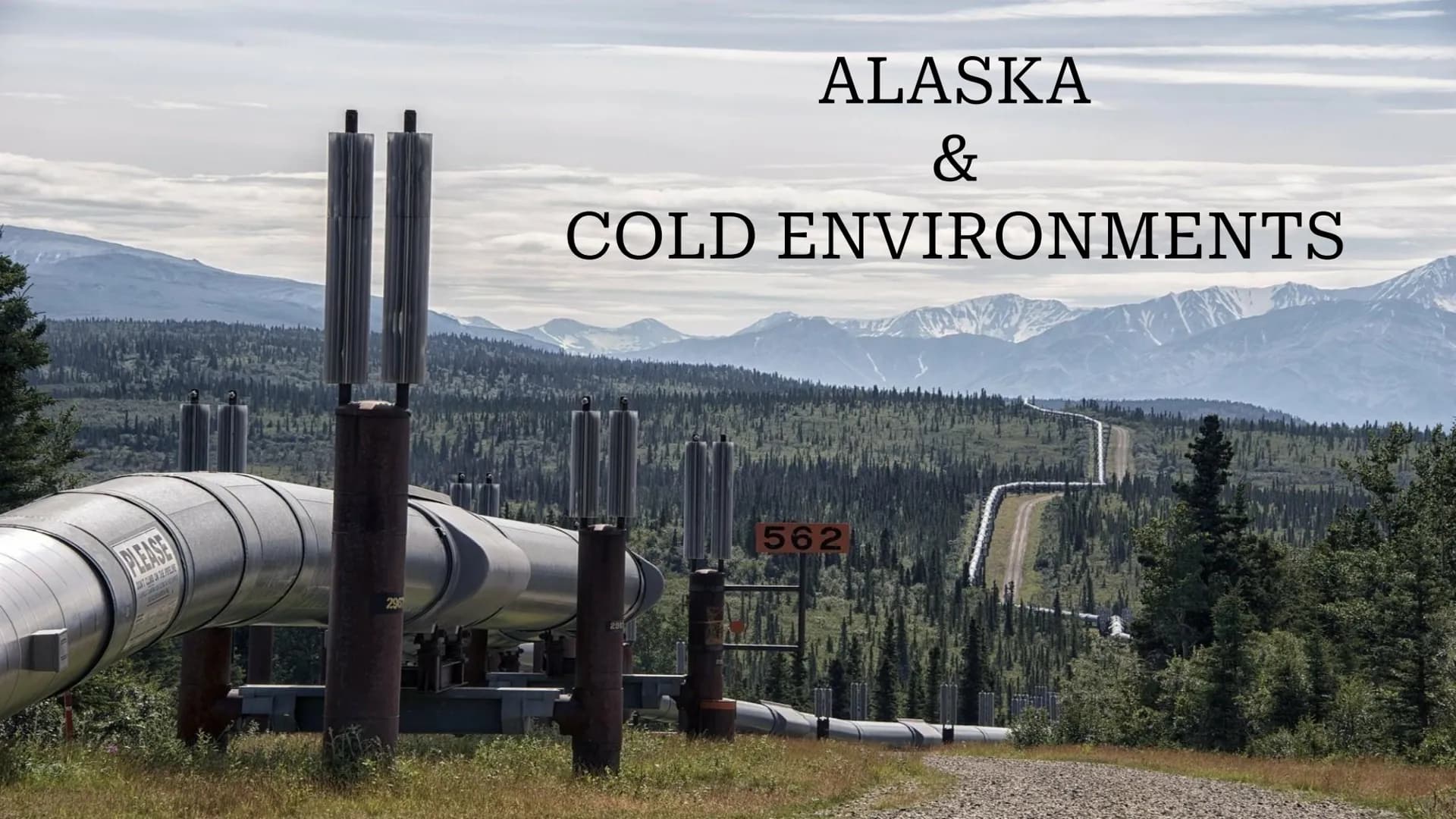 PLEASE
DON'T CLAD IN THE POPELINE
290
ALASKA
&
COLD ENVIRONMENTS
562 Cold Environments
Cold environments are an important ecosystem with dis