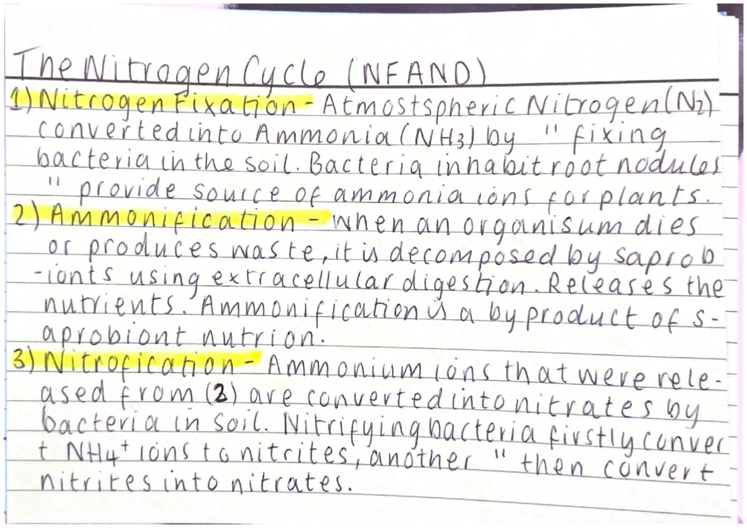 The Nitragen Cycle (NFAND)
1) Nitrogen Fixation - Atmostspheric Nitrogen (N₂)
converted into Ammonia (NH3) by fixing
bacteria in the soil. B