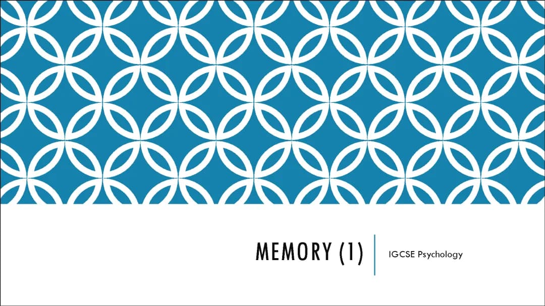Your Guide to GCSE Psychology Memory Questions and Answers