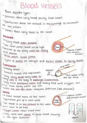 Know Biology paper 1 posters  thumbnail