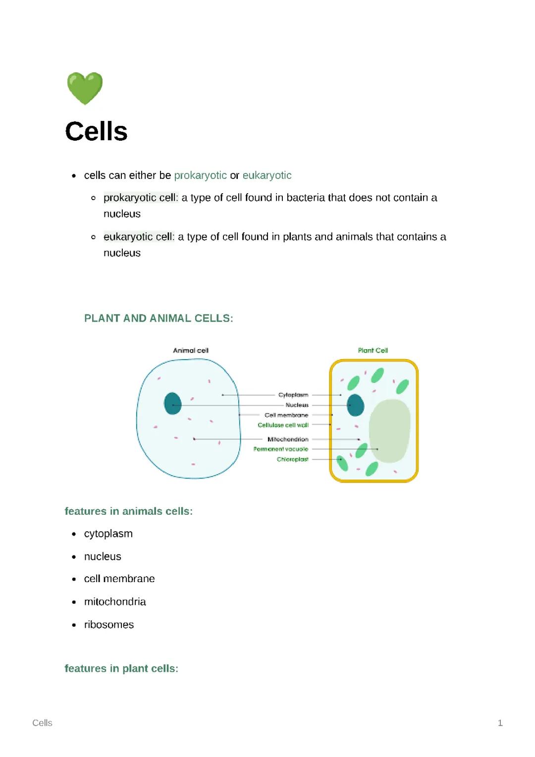 gcse biology - cells