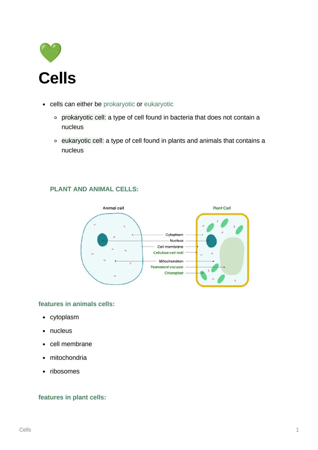 Cells
Cells
• cells can either be prokaryotic or eukaryotic
o prokaryotic cell: a type of cell found in bacteria that does not contain a
nuc