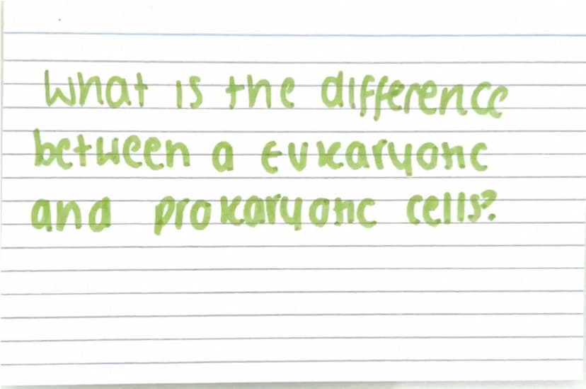 Biology paper
1 flashcards
quiz :) Why are electron
microscopes better
than normal light
microscopes? they have a higher resolving
power / r