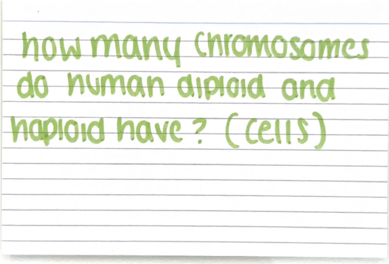 Biology paper
1 flashcards
quiz :) Why are electron
microscopes better
than normal light
microscopes? they have a higher resolving
power / r