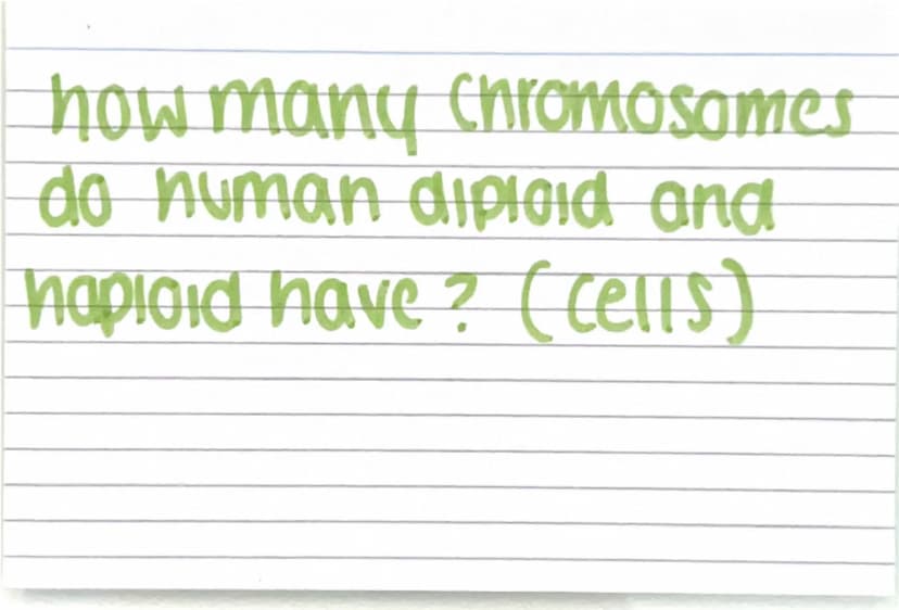 Biology paper
1 flashcards
quiz :) Why are electron
microscopes better
than normal light
microscopes? they have a higher resolving
power / r