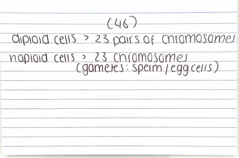 Biology paper
1 flashcards
quiz :) Why are electron
microscopes better
than normal light
microscopes? they have a higher resolving
power / r