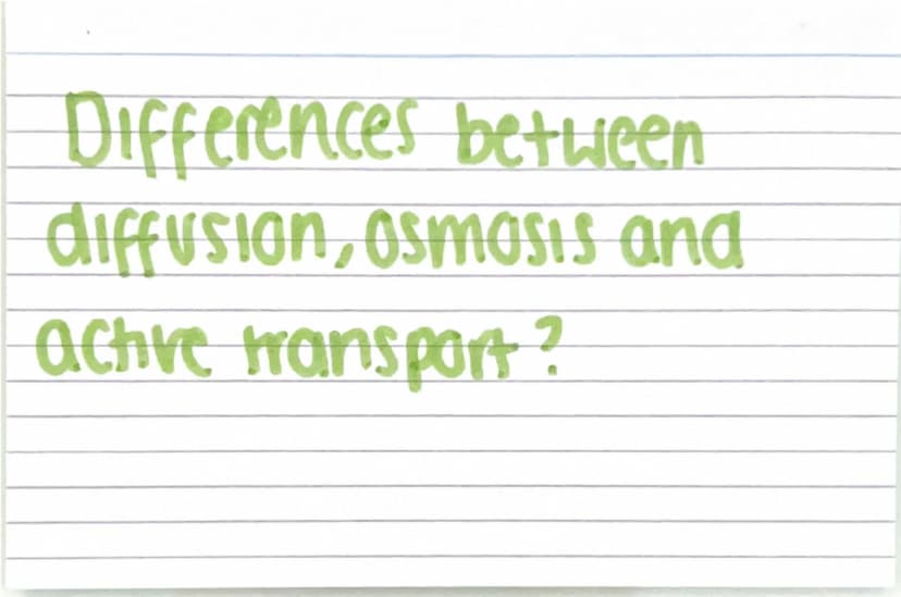 Biology paper
1 flashcards
quiz :) Why are electron
microscopes better
than normal light
microscopes? they have a higher resolving
power / r