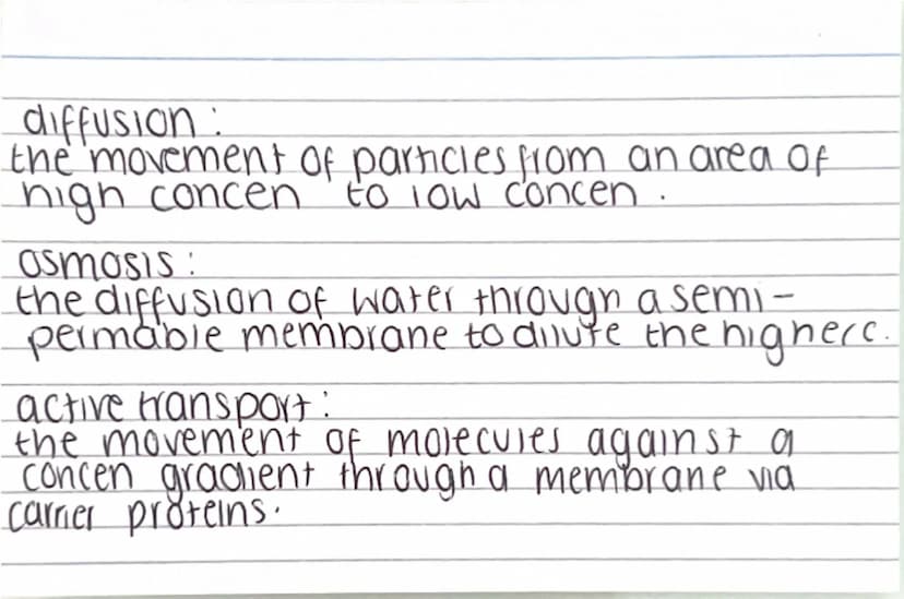 Biology paper
1 flashcards
quiz :) Why are electron
microscopes better
than normal light
microscopes? they have a higher resolving
power / r