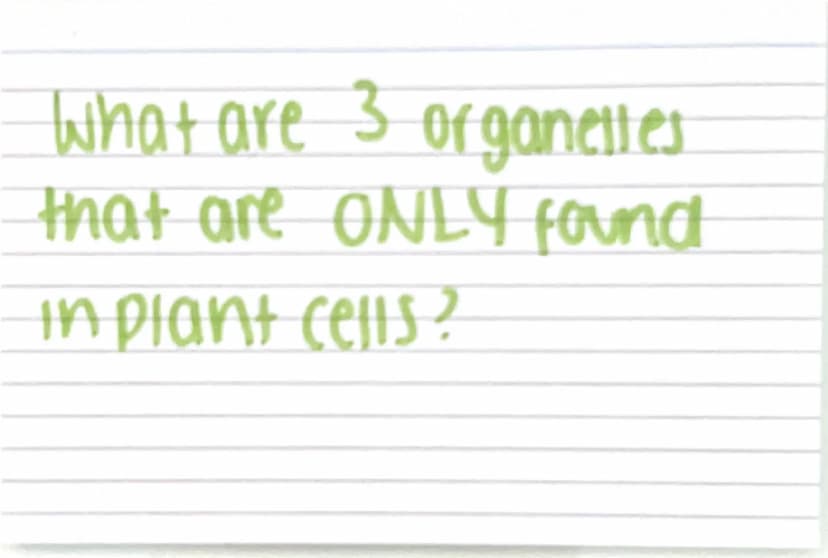 Biology paper
1 flashcards
quiz :) Why are electron
microscopes better
than normal light
microscopes? they have a higher resolving
power / r