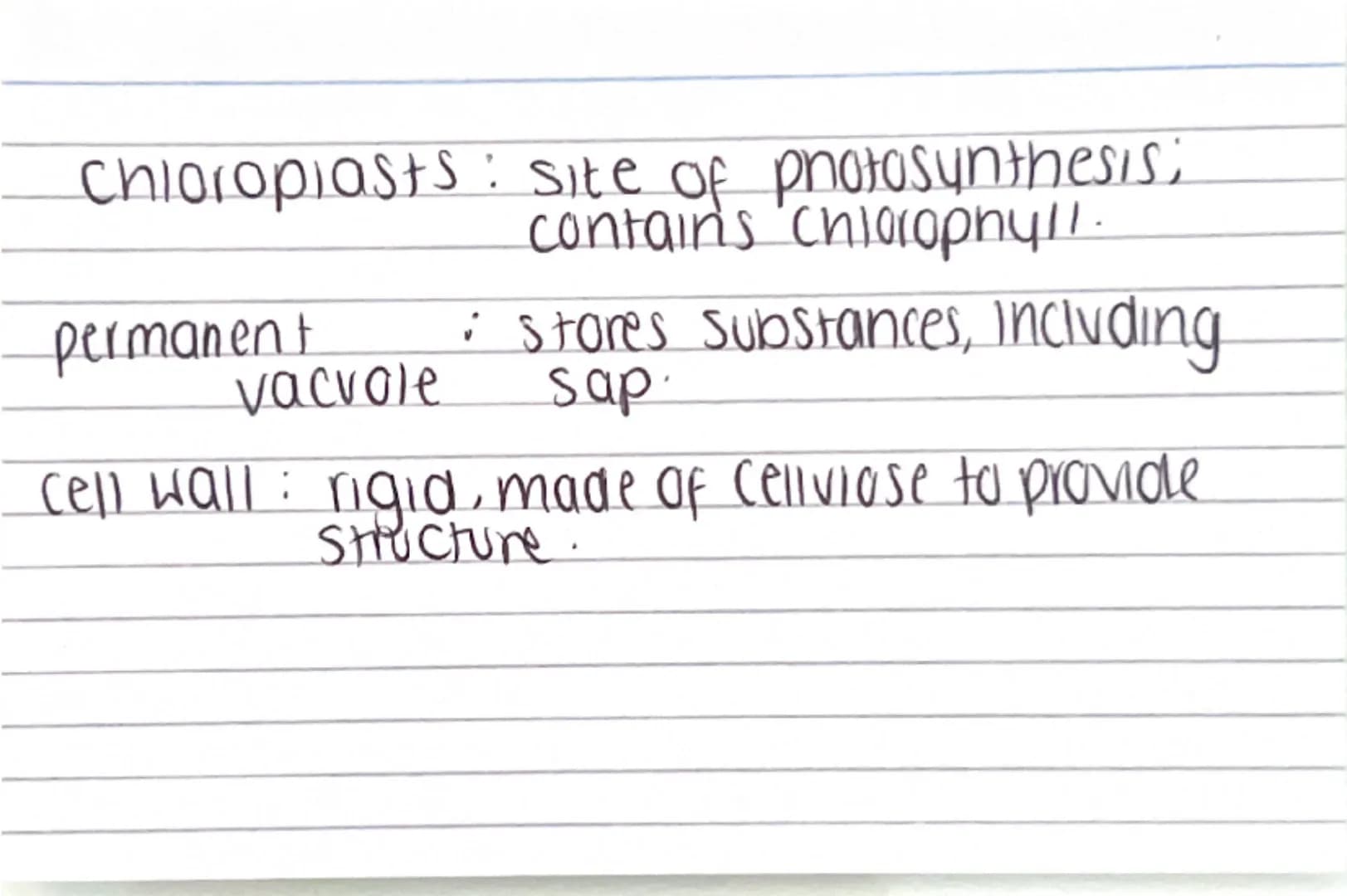 Biology paper
1 flashcards
quiz :) Why are electron
microscopes better
than normal light
microscopes? they have a higher resolving
power / r