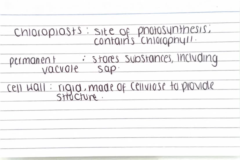 Biology paper
1 flashcards
quiz :) Why are electron
microscopes better
than normal light
microscopes? they have a higher resolving
power / r