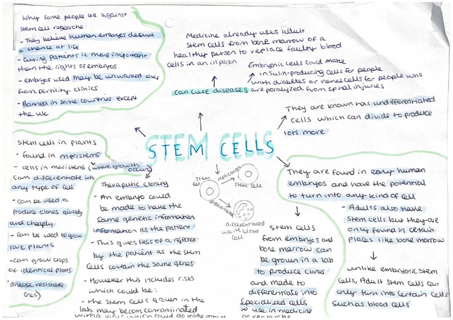 
<p>Phloem and xylem are examples of specialized cells in plants that are responsible for transporting substances such as food, water, and m