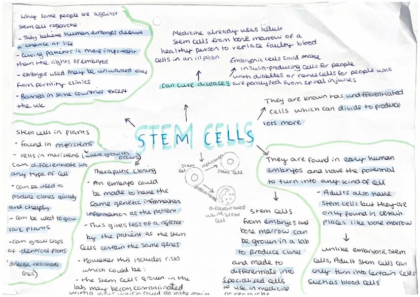 
<p>Phloem and xylem are examples of specialized cells in plants that are responsible for transporting substances such as food, water, and m