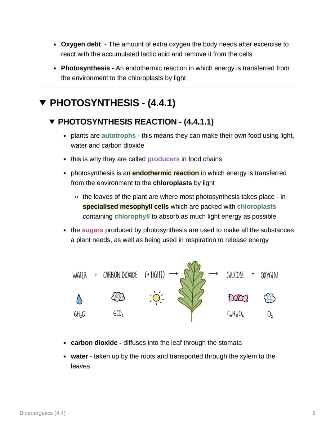 Bioenergetics (4.4)
TOPIC 4 AQA GCSE BIOLOGY
▼ KEY TERMS
• Aerobic respiration - A form of respiration that uses oxygen to release energy
fr