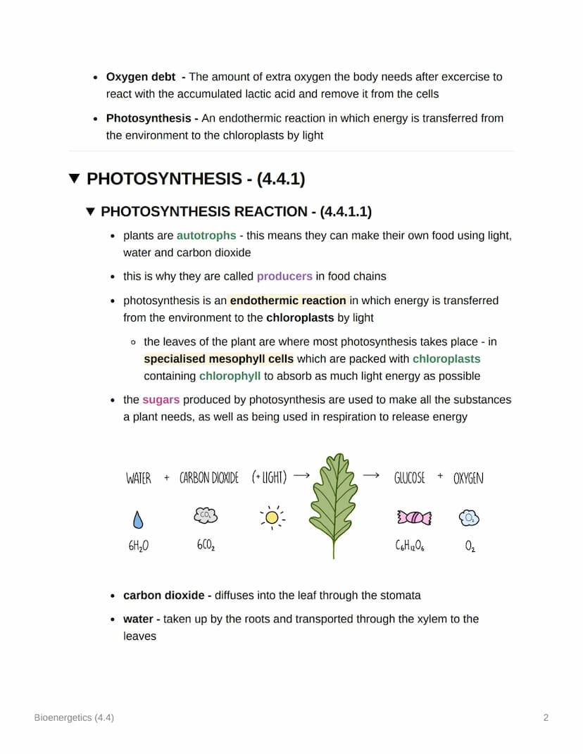 Bioenergetics (4.4)
TOPIC 4 AQA GCSE BIOLOGY
▼ KEY TERMS
• Aerobic respiration - A form of respiration that uses oxygen to release energy
fr