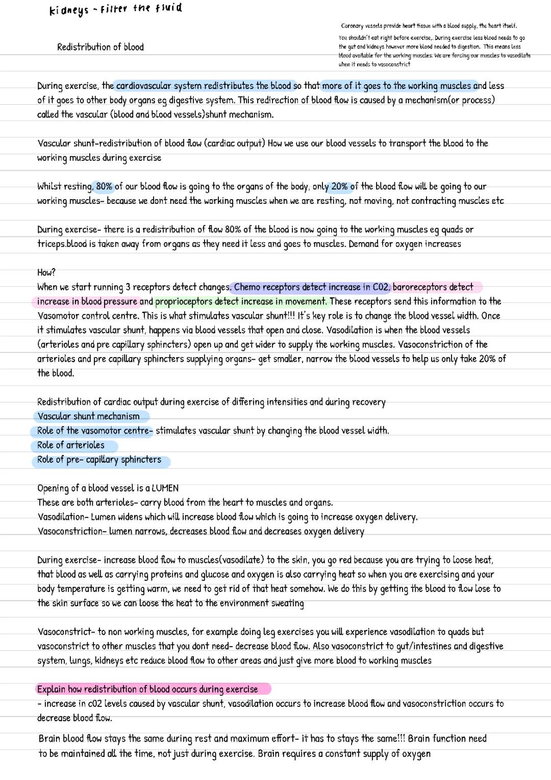 Vascular Shunt- A Level PE AQA