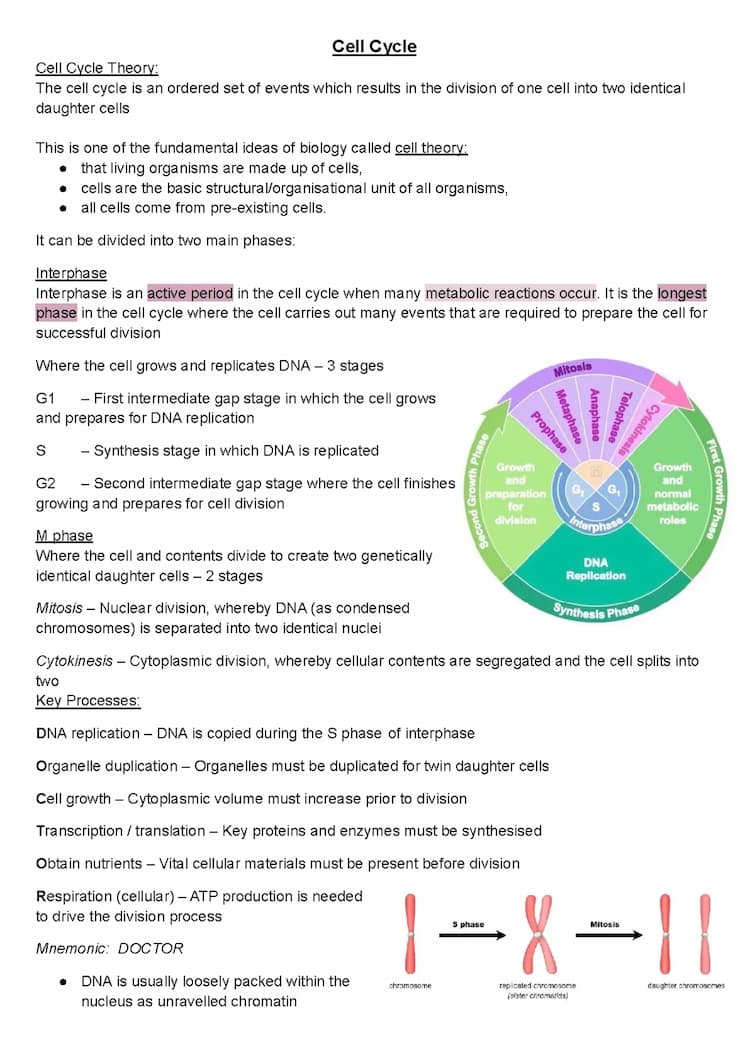 Know Cell Cycle thumbnail