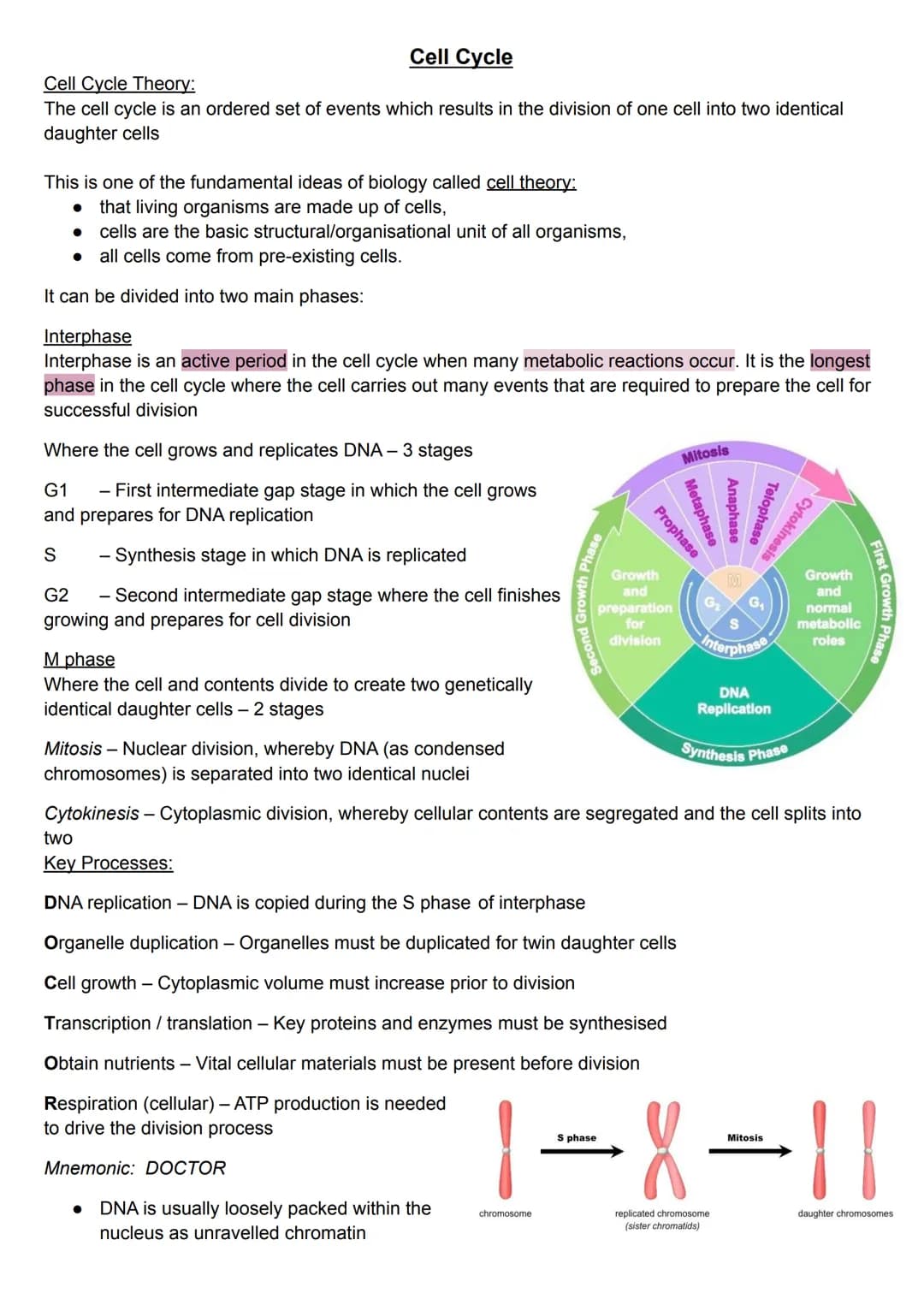 Cell Cycle
Cell Cycle Theory:
The cell cycle is an ordered set of events which results in the division of one cell into two identical
daught