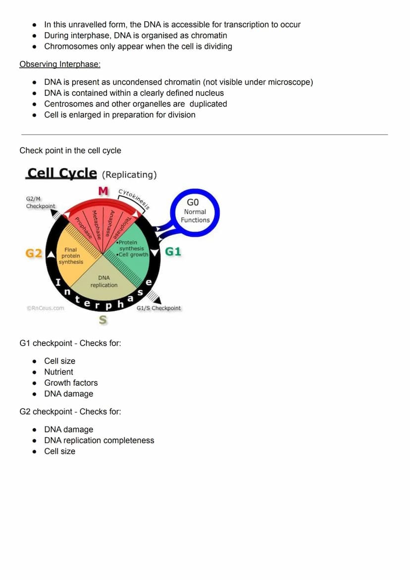 Cell Cycle
Cell Cycle Theory:
The cell cycle is an ordered set of events which results in the division of one cell into two identical
daught