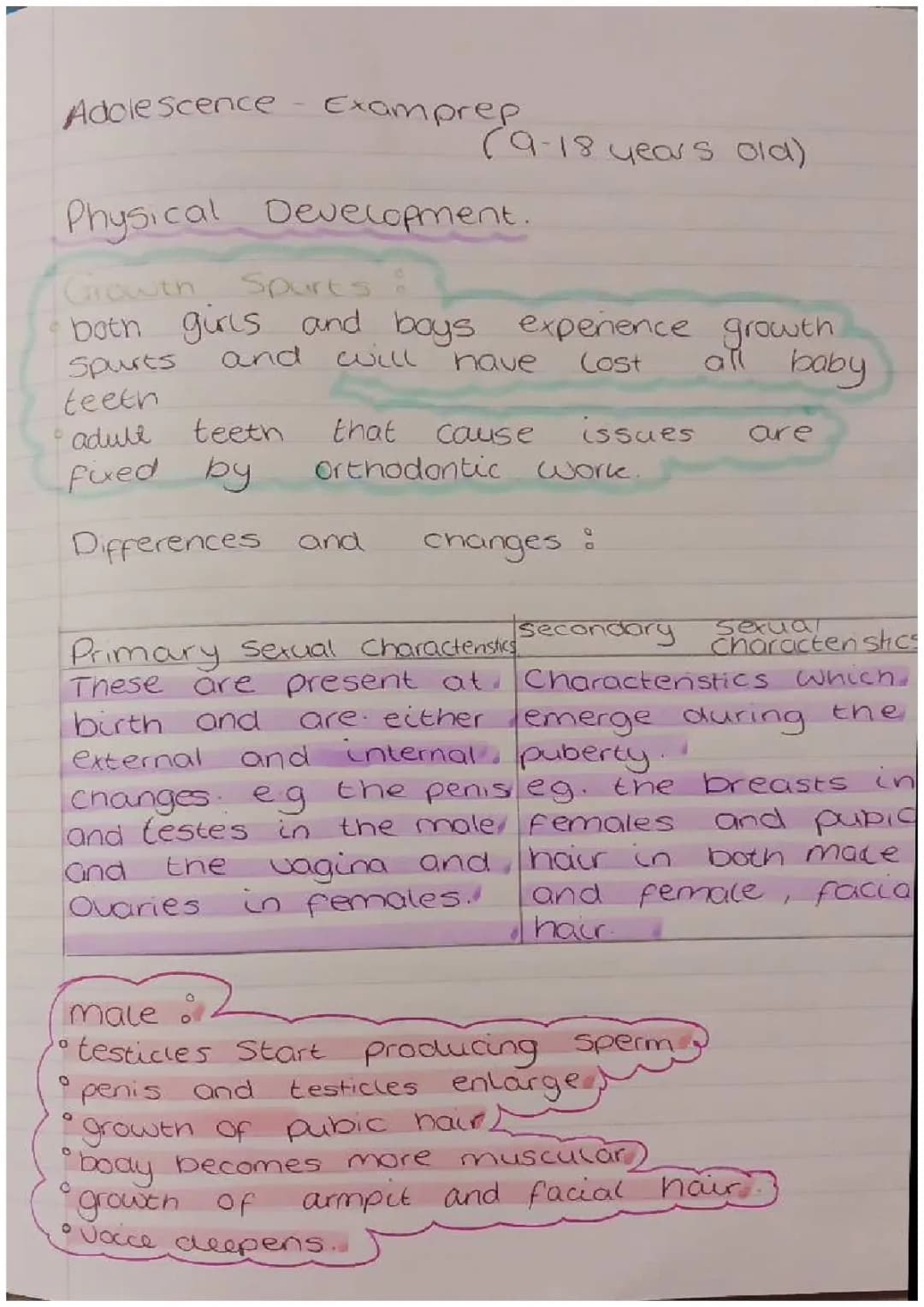 The Stages of Adolescent Development: 9-18 Years