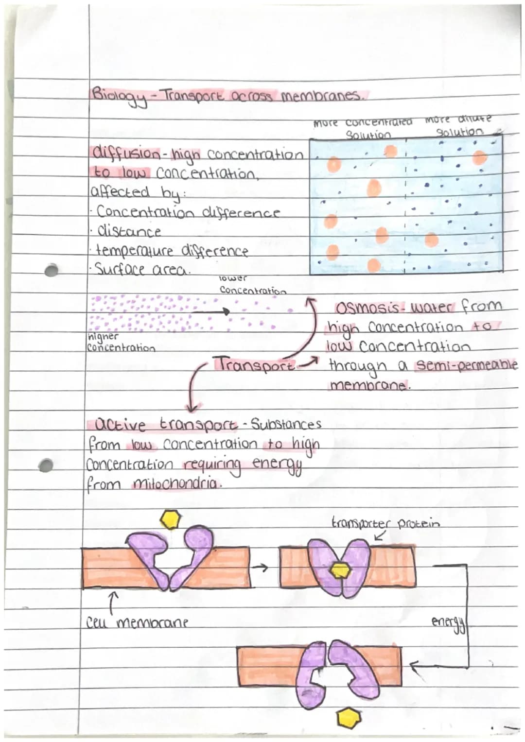 Biology - Enzymes
biological catalyse that
speeds up/slows down
reactions
active Site - where Substrate
fits at Start of reaction
denature-a