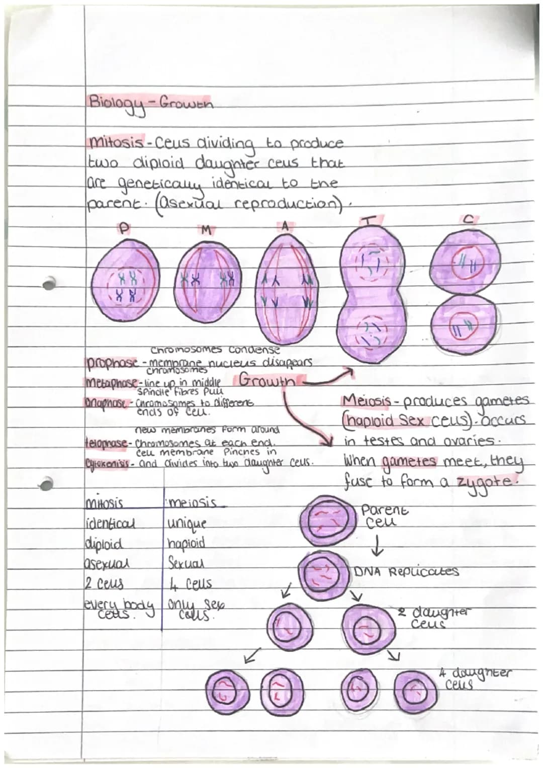 Biology - Enzymes
biological catalyse that
speeds up/slows down
reactions
active Site - where Substrate
fits at Start of reaction
denature-a