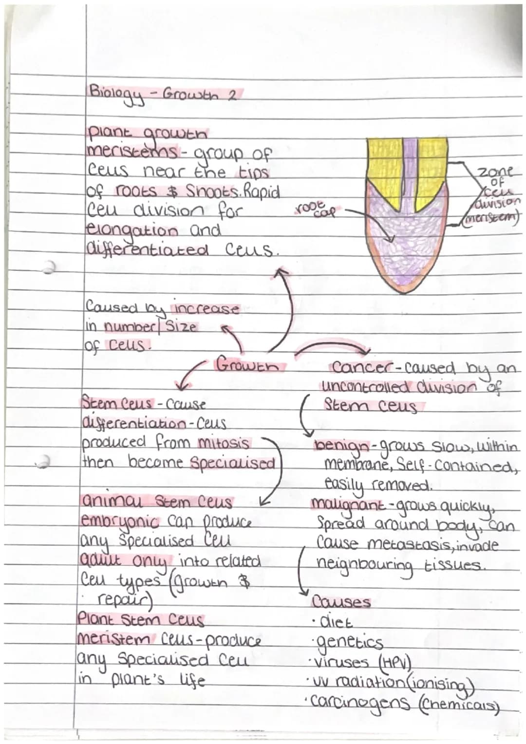Biology - Enzymes
biological catalyse that
speeds up/slows down
reactions
active Site - where Substrate
fits at Start of reaction
denature-a