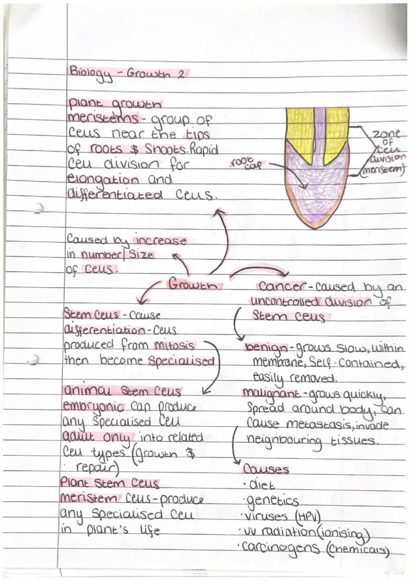 Biology - Enzymes
biological catalyse that
speeds up/slows down
reactions
active Site - where Substrate
fits at Start of reaction
denature-a