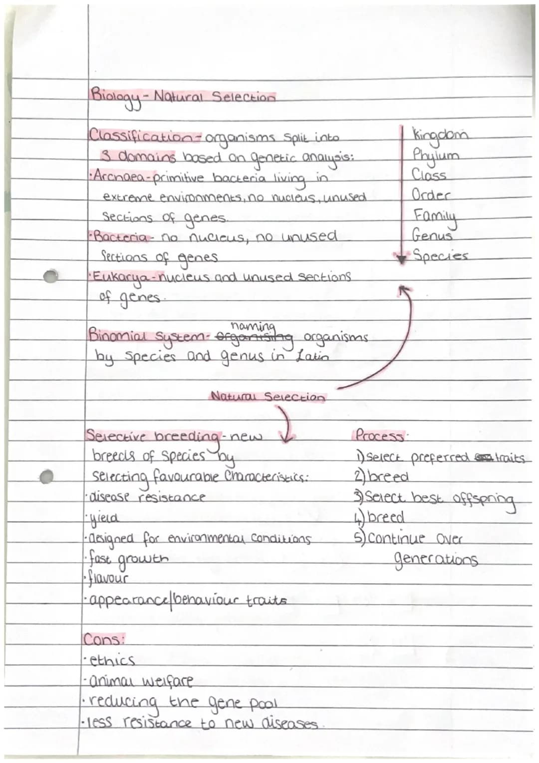 Biology - Enzymes
biological catalyse that
speeds up/slows down
reactions
active Site - where Substrate
fits at Start of reaction
denature-a