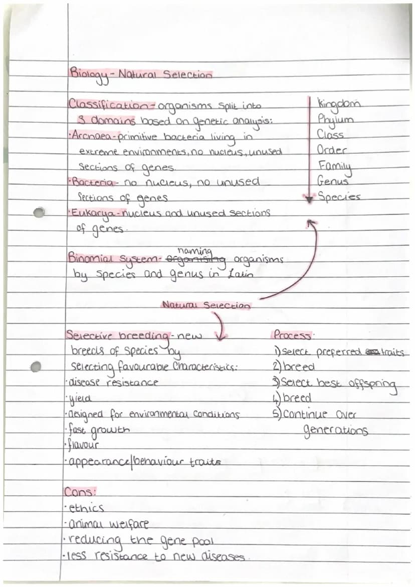 Biology - Enzymes
biological catalyse that
speeds up/slows down
reactions
active Site - where Substrate
fits at Start of reaction
denature-a