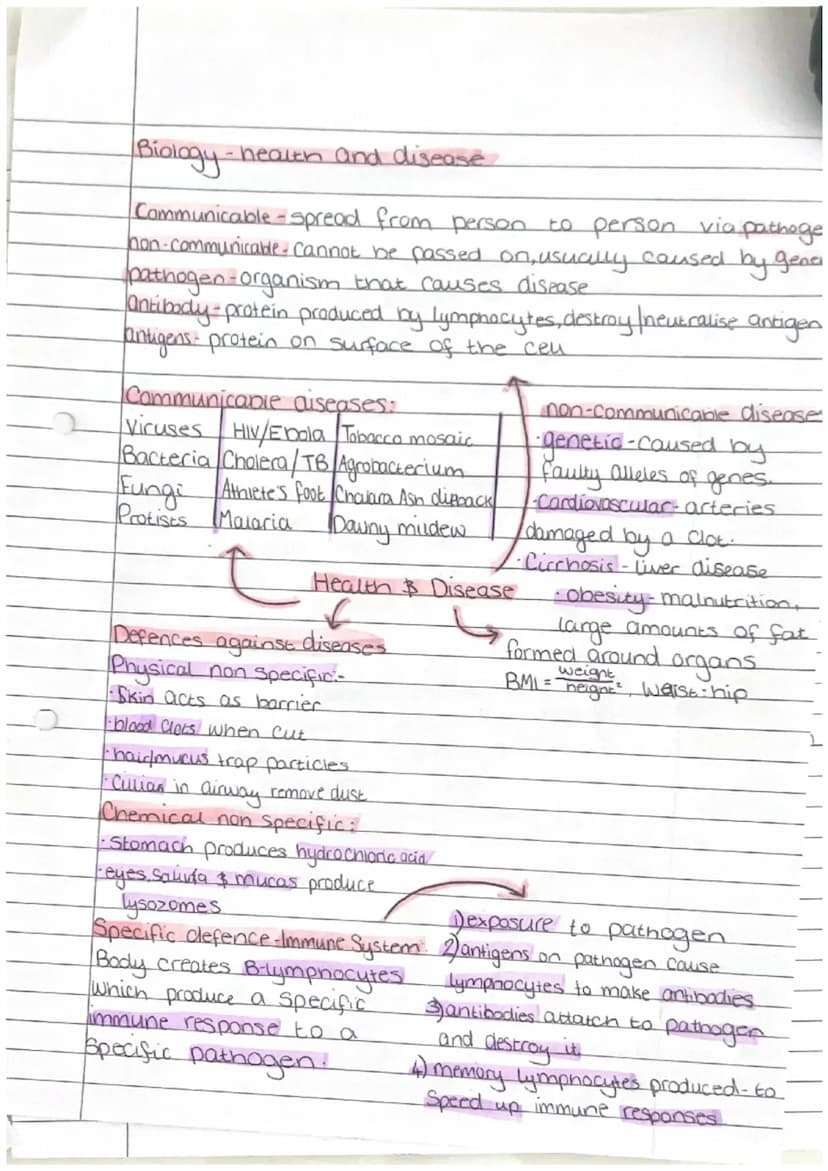 Biology - Enzymes
biological catalyse that
speeds up/slows down
reactions
active Site - where Substrate
fits at Start of reaction
denature-a