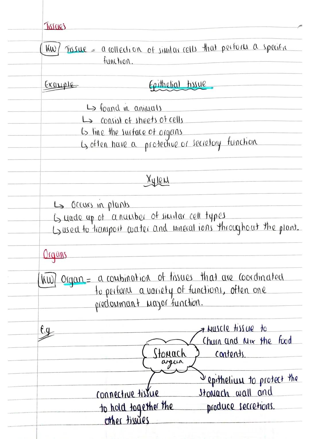 13/11/22
Pre-reading Notes : Summary
Cells
TOPIC E
celts
(
SPEC POINT: 3.2 Cells
Source: AQA A-level
3.2.1 Cell Structure
3.2.4.4
Biologly (