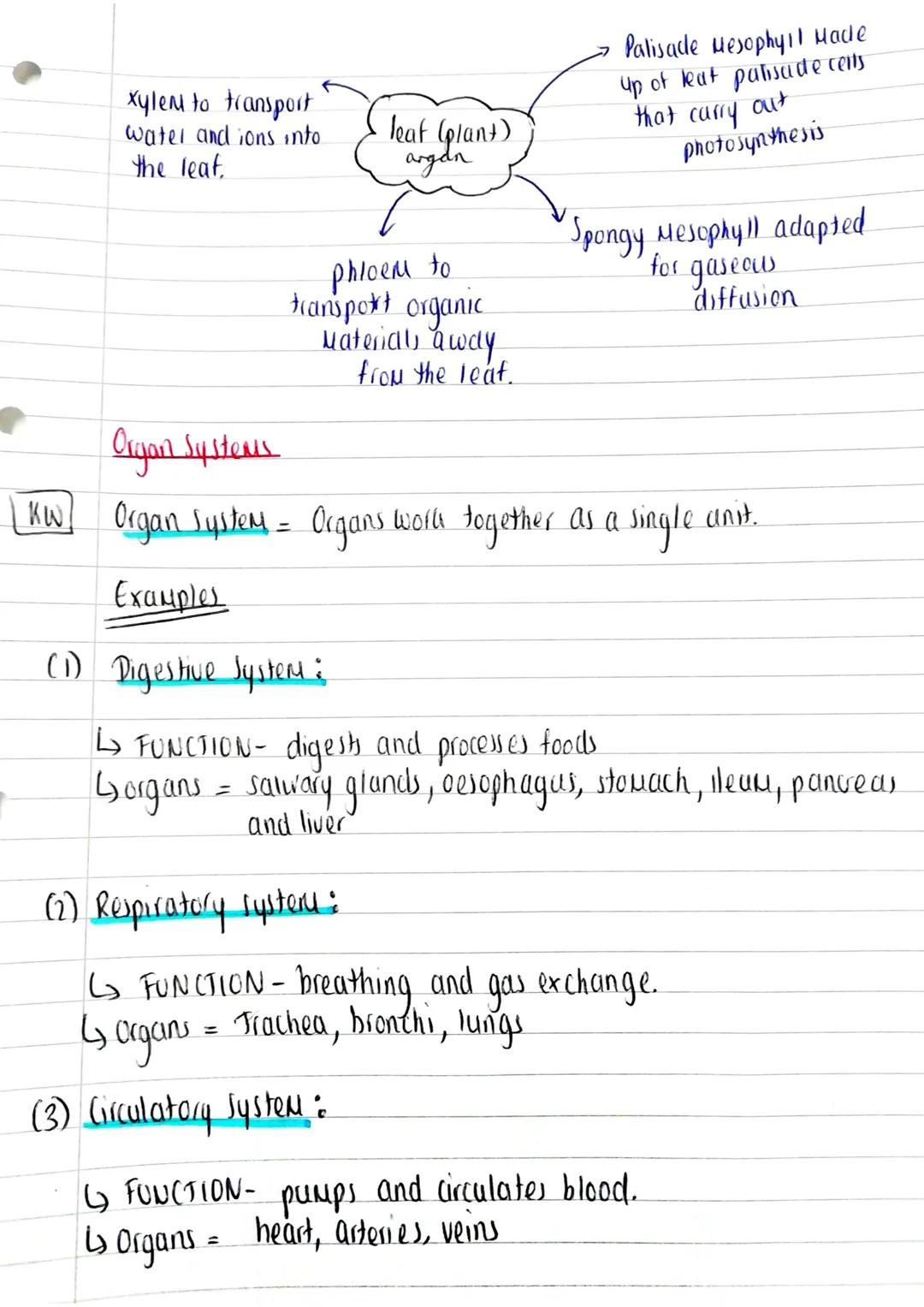 13/11/22
Pre-reading Notes : Summary
Cells
TOPIC E
celts
(
SPEC POINT: 3.2 Cells
Source: AQA A-level
3.2.1 Cell Structure
3.2.4.4
Biologly (