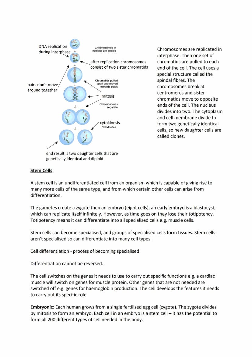 Genetic Material
The body is made up of cells. Each cell contains a nucleus which contains the genetic
information and controls the cell. Ea