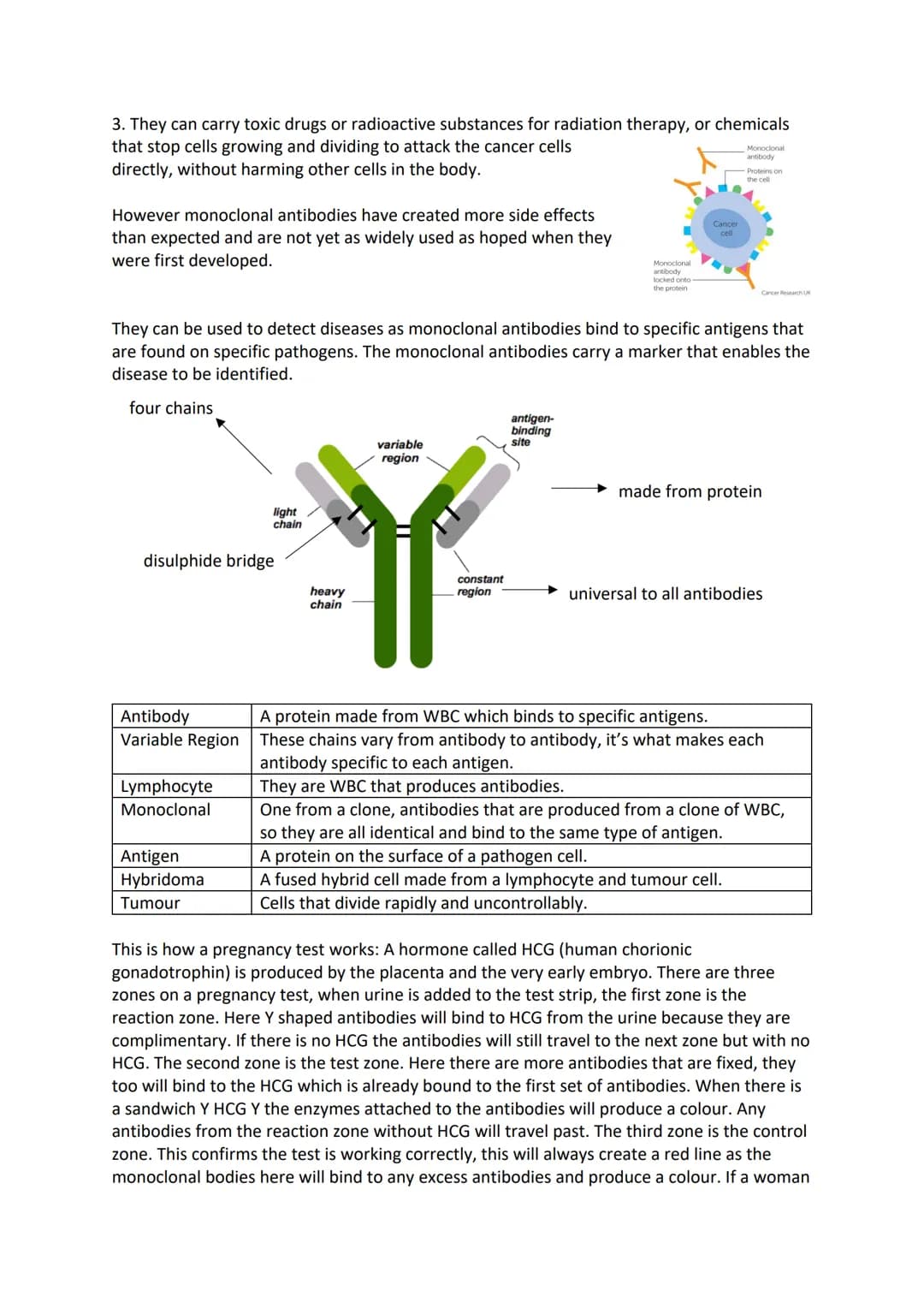 Genetic Material
The body is made up of cells. Each cell contains a nucleus which contains the genetic
information and controls the cell. Ea