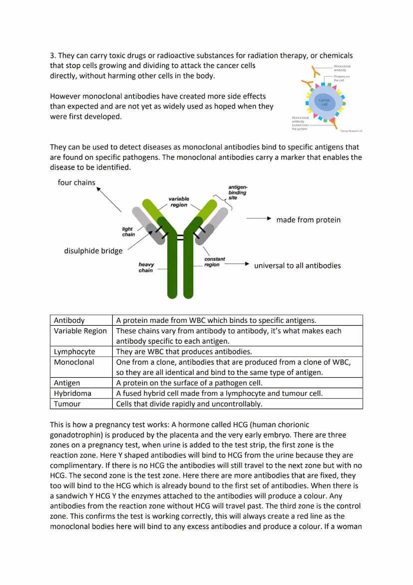 Genetic Material
The body is made up of cells. Each cell contains a nucleus which contains the genetic
information and controls the cell. Ea