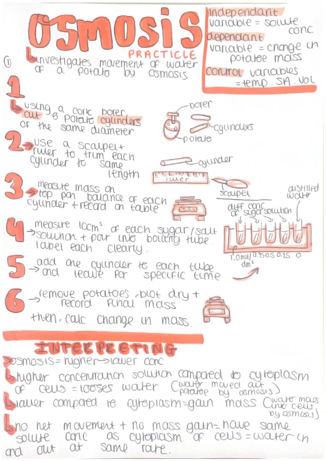 Osmosis
0
OF
а
PRACTICLE
investigates movement of water
potato by asmosis
Independant
vandible=solute
dependant
conc
variable = change in
po