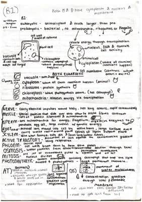 Know B1 paper 1 biology notes thumbnail