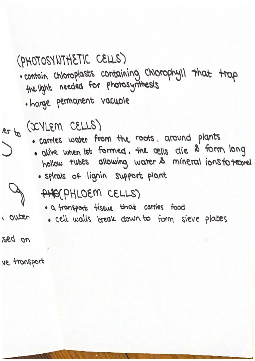 (61)
10-100m
length
0-2-2vm
Vacuole
-contains salts
8 cell sap
keeps cell turgid
Oempty
61.
eukaryotic
prokaryotic
space
in
cell wall
made o