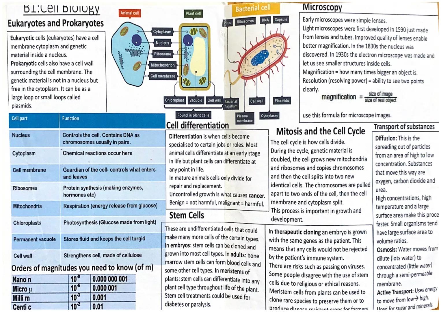 (61)
10-100m
length
0-2-2vm
Vacuole
-contains salts
8 cell sap
keeps cell turgid
Oempty
61.
eukaryotic
prokaryotic
space
in
cell wall
made o