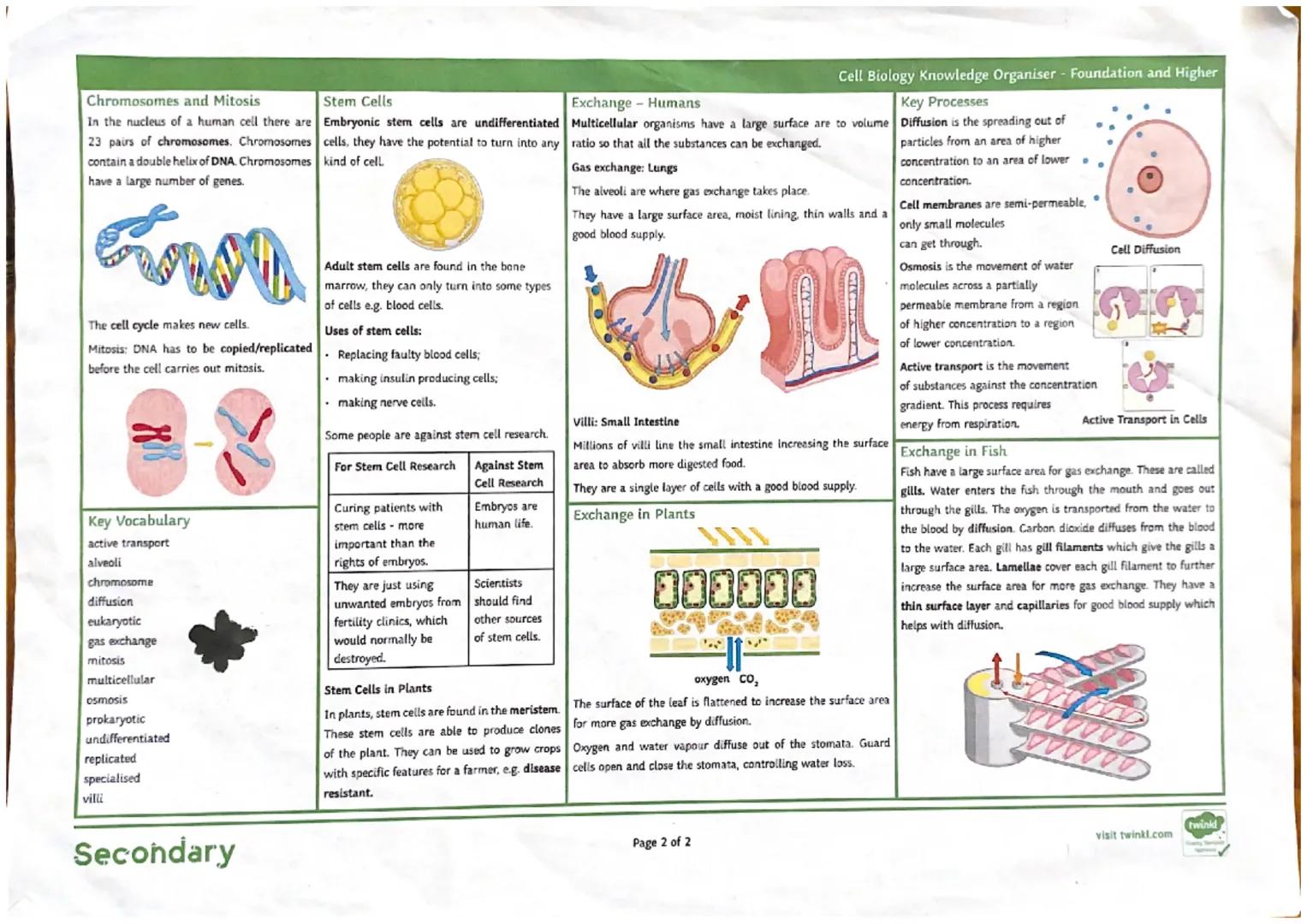 (61)
10-100m
length
0-2-2vm
Vacuole
-contains salts
8 cell sap
keeps cell turgid
Oempty
61.
eukaryotic
prokaryotic
space
in
cell wall
made o