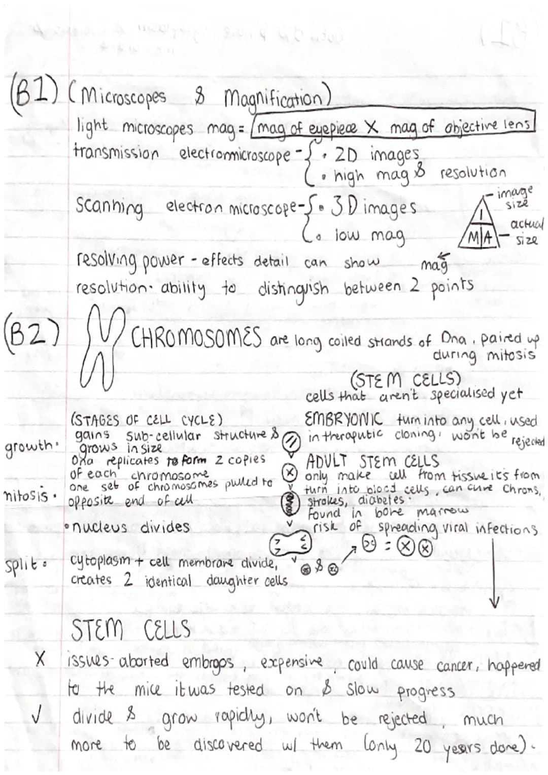 (61)
10-100m
length
0-2-2vm
Vacuole
-contains salts
8 cell sap
keeps cell turgid
Oempty
61.
eukaryotic
prokaryotic
space
in
cell wall
made o