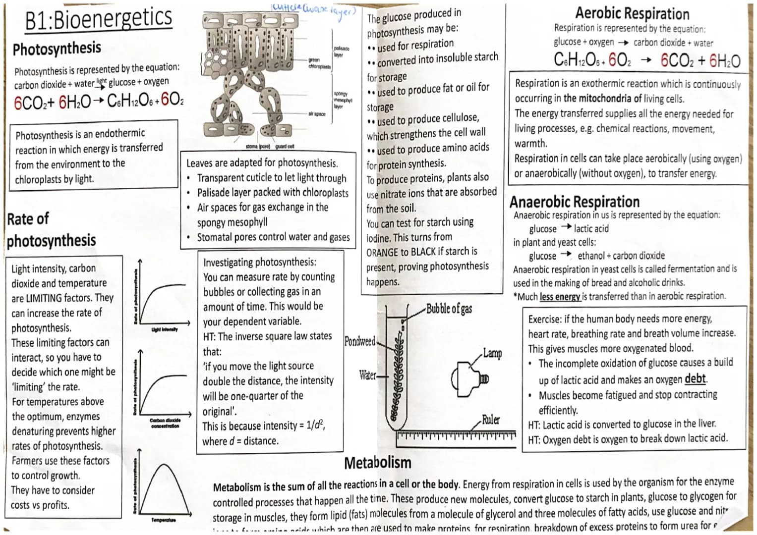 (61)
10-100m
length
0-2-2vm
Vacuole
-contains salts
8 cell sap
keeps cell turgid
Oempty
61.
eukaryotic
prokaryotic
space
in
cell wall
made o