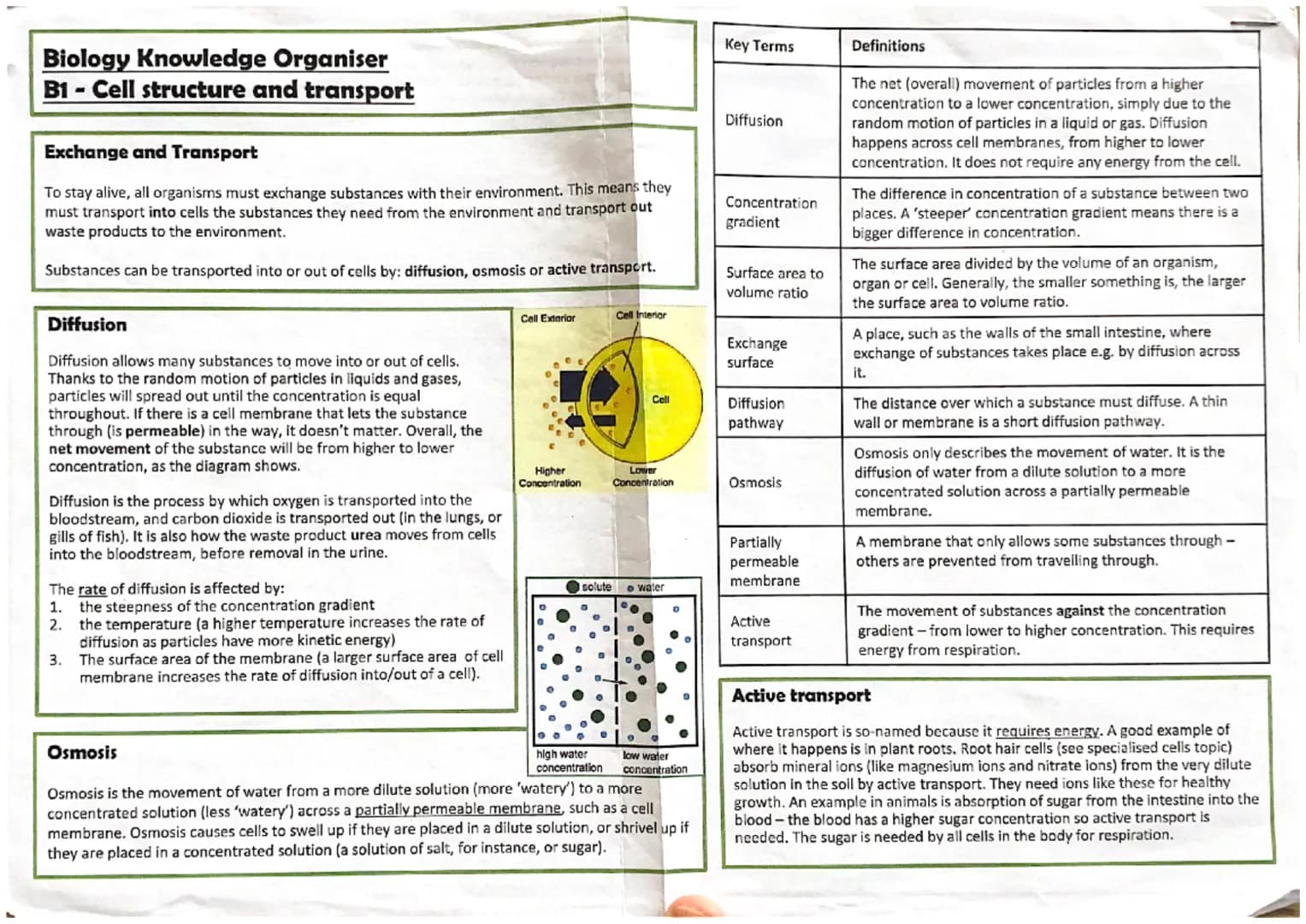 (61)
10-100m
length
0-2-2vm
Vacuole
-contains salts
8 cell sap
keeps cell turgid
Oempty
61.
eukaryotic
prokaryotic
space
in
cell wall
made o