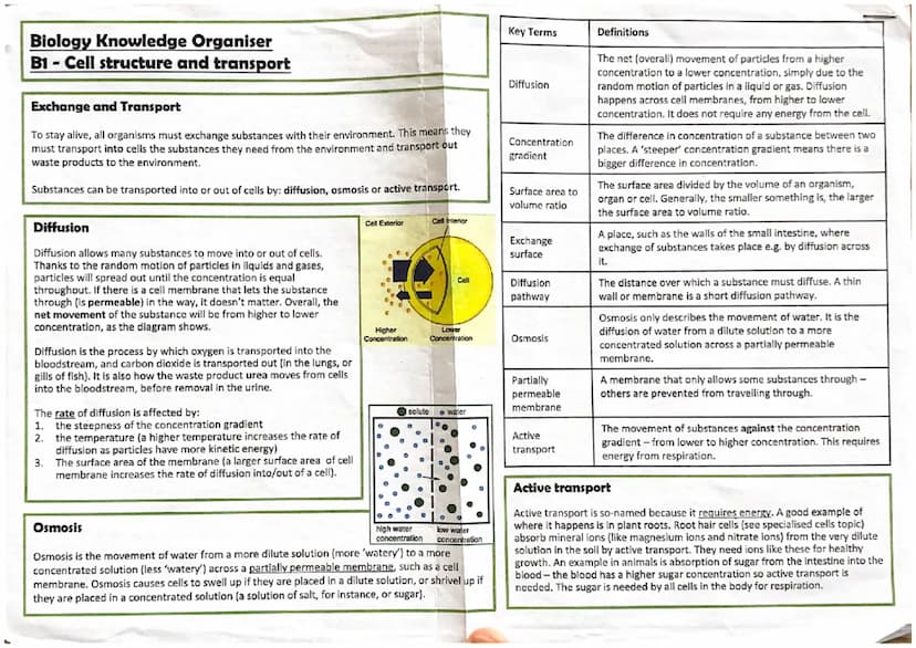 (61)
10-100m
length
0-2-2vm
Vacuole
-contains salts
8 cell sap
keeps cell turgid
Oempty
61.
eukaryotic
prokaryotic
space
in
cell wall
made o