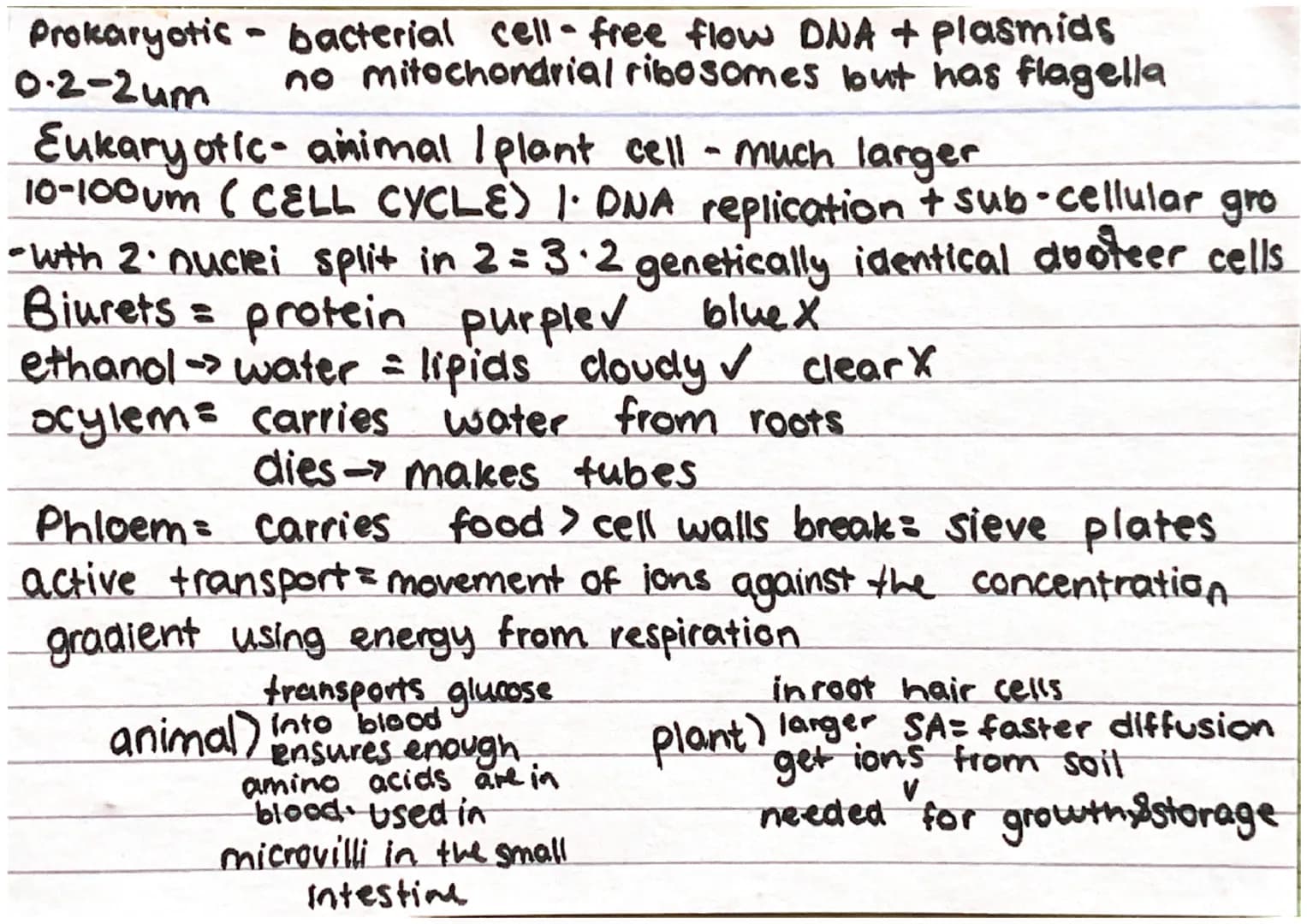 (61)
10-100m
length
0-2-2vm
Vacuole
-contains salts
8 cell sap
keeps cell turgid
Oempty
61.
eukaryotic
prokaryotic
space
in
cell wall
made o