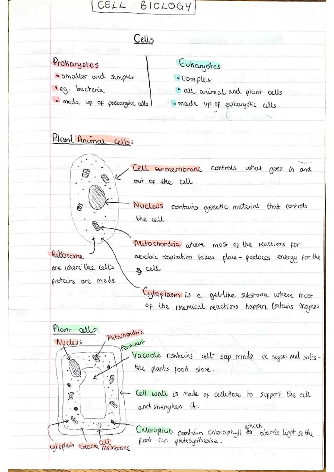 GCSE Biology AQA Cell Biology Triple notes